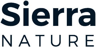 belajar web